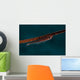 Whip Coral Goby Fiji Upside Down Wall Decal