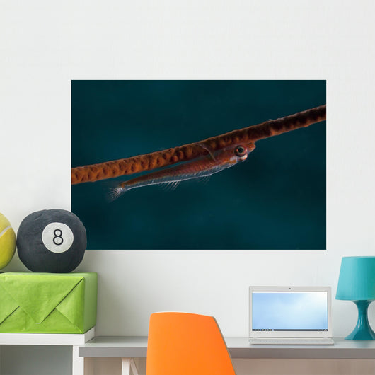 Whip Coral Goby Fiji Upside Down Wall Decal