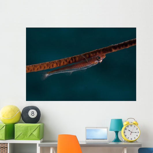 Whip Coral Goby Fiji Upside Down Wall Decal