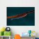 Whip Coral Goby Fiji Upside Down Wall Decal