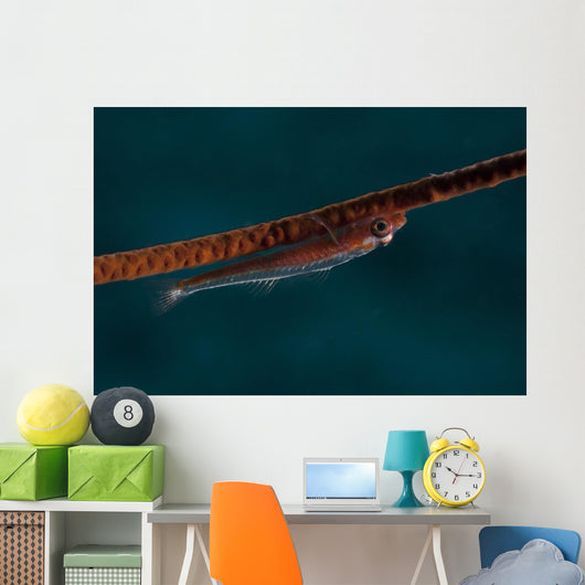 Whip Coral Goby Fiji Upside Down Wall Decal