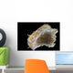 Chromodoris Kuniei Nudibranch Beqa Bottom Wall Decal