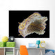 Chromodoris Kuniei Nudibranch Beqa Bottom Wall Decal