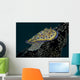 Chromodoris Kuniei Nudibranch Beqa Right Side Wall Decal