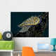 Chromodoris Kuniei Nudibranch Beqa Right Side Wall Decal