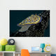 Chromodoris Kuniei Nudibranch Beqa Right Side Wall Decal