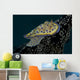 Chromodoris Kuniei Nudibranch Beqa Right Side Wall Decal