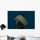 Chromodoris Kuniei Nudibranch Beqa Top Wall Decal