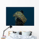 Chromodoris Kuniei Nudibranch Beqa Top Wall Decal