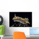 Chromodoris Kuniei Nudibranch Beqa Left Side Wall Decal