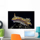 Chromodoris Kuniei Nudibranch Beqa Left Side Wall Decal