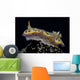 Chromodoris Kuniei Nudibranch Beqa Left Side Wall Decal
