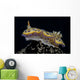 Chromodoris Kuniei Nudibranch Beqa Left Side Wall Decal