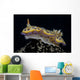 Chromodoris Kuniei Nudibranch Beqa Left Side Wall Decal