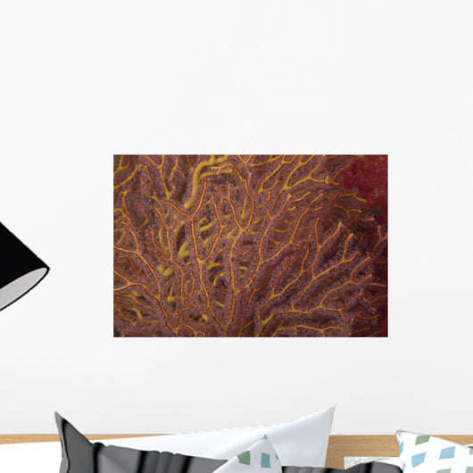 Soft Coral Polyps Feeding Wall Decal