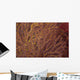 Soft Coral Polyps Feeding Wall Decal