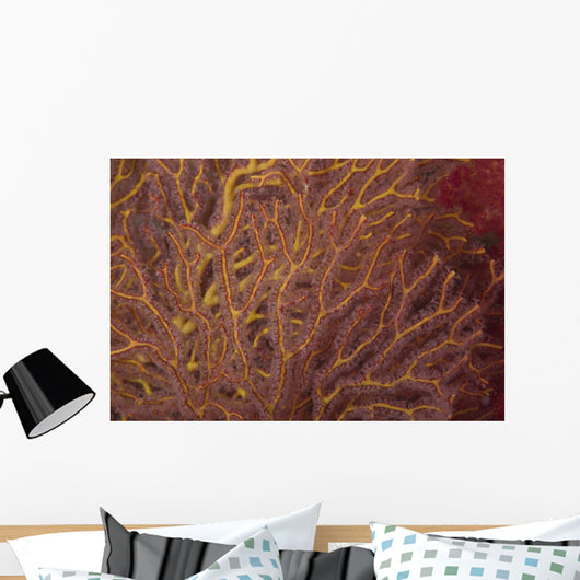 Soft Coral Polyps Feeding Wall Decal