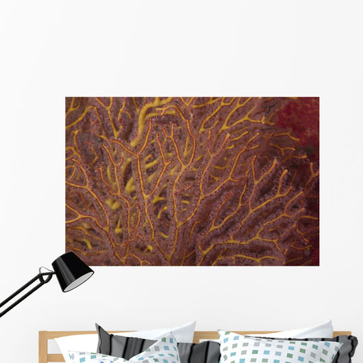 Soft Coral Polyps Feeding Wall Decal