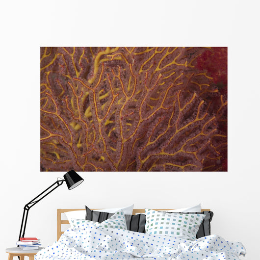 Soft Coral Polyps Feeding Wall Decal