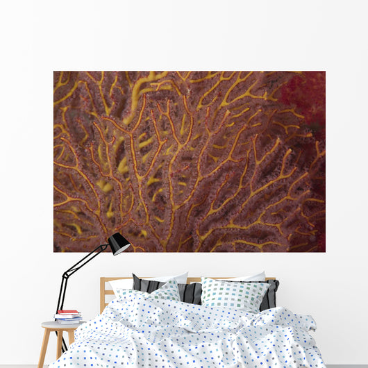 Soft Coral Polyps Feeding Wall Decal