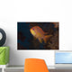 Scalefin Anthias Fish Beqa Wall Front Decal