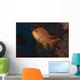 Scalefin Anthias Fish Beqa Wall Front Decal