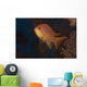 Scalefin Anthias Fish Beqa Wall Front Decal