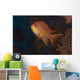 Scalefin Anthias Fish Beqa Wall Front Decal