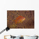 Scalefin Anthias Fish Beqa Profile Wall Decal