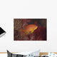 Scalefin Anthias Fish Beqa Right Wall Decal