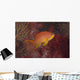 Scalefin Anthias Fish Beqa Right Wall Decal