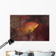 Scalefin Anthias Fish Beqa Right Wall Decal