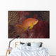 Scalefin Anthias Fish Beqa Right Wall Decal