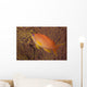 Scalefin Anthias Fish Beqa Left Wall Decal