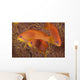 Scalefin Anthias Fish Beqa Trio Wall Decal