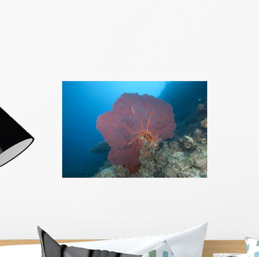 Large Red Gorgonian Sea Light Wall Decal