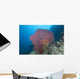 Large Red Gorgonian Sea Light Wall Decal