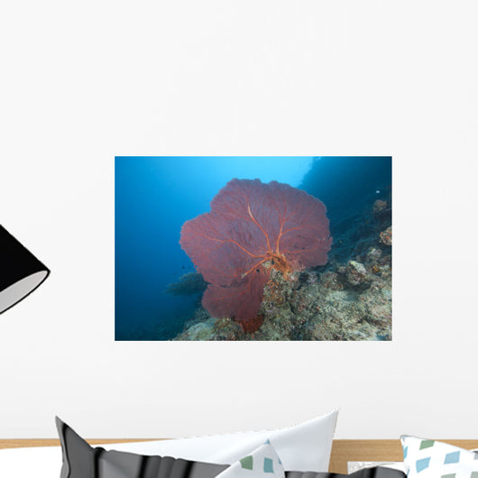 Large Red Gorgonian Sea Light Wall Decal