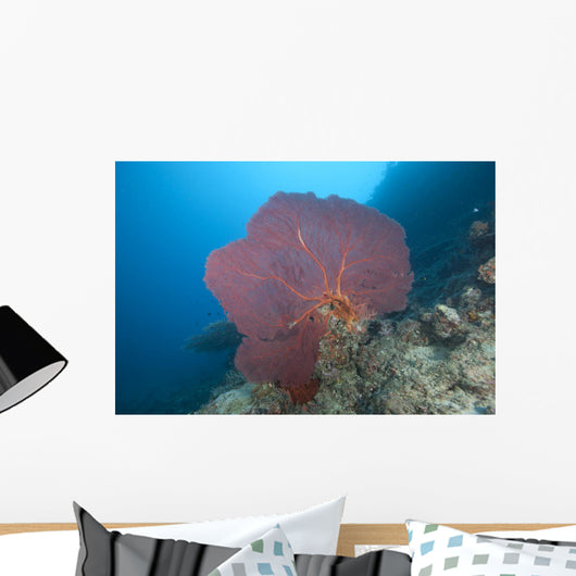 Large Red Gorgonian Sea Light Wall Decal