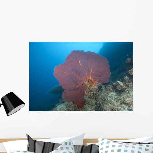 Large Red Gorgonian Sea Light Wall Decal