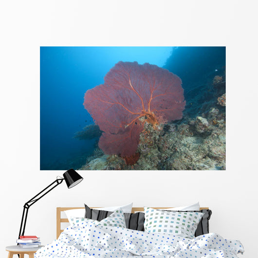 Large Red Gorgonian Sea Light Wall Decal