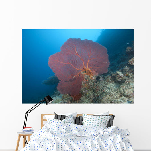 Large Red Gorgonian Sea Light Wall Decal