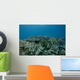 Healthy Corals Cover Reef Landscape Wall Decal