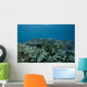 Healthy Corals Cover Reef Landscape Wall Decal