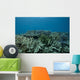 Healthy Corals Cover Reef Landscape Wall Decal