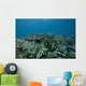 Healthy Corals Cover Reef Landscape Wall Decal
