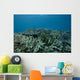 Healthy Corals Cover Reef Landscape Wall Decal