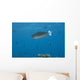 Spotted Unicornfish Swimming Fiji Wall Decal