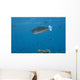 Spotted Unicornfish Swimming Fiji Wall Decal