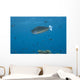 Spotted Unicornfish Swimming Fiji Wall Decal